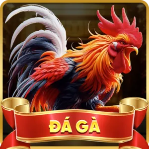 Bóng rổ